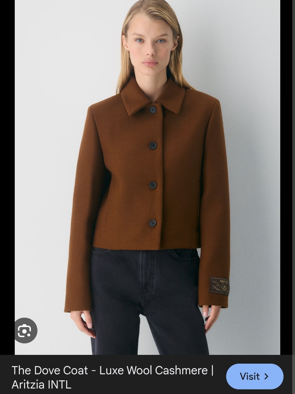 Aritzia The Dove Coat - Picture 4 of 10